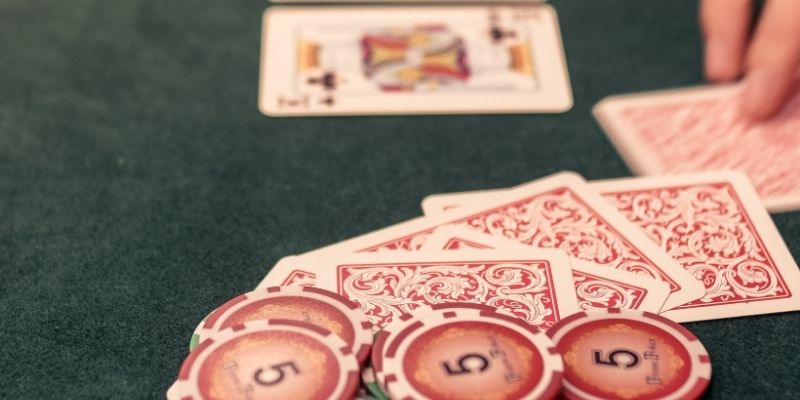 Platforms shaping the live casino experience